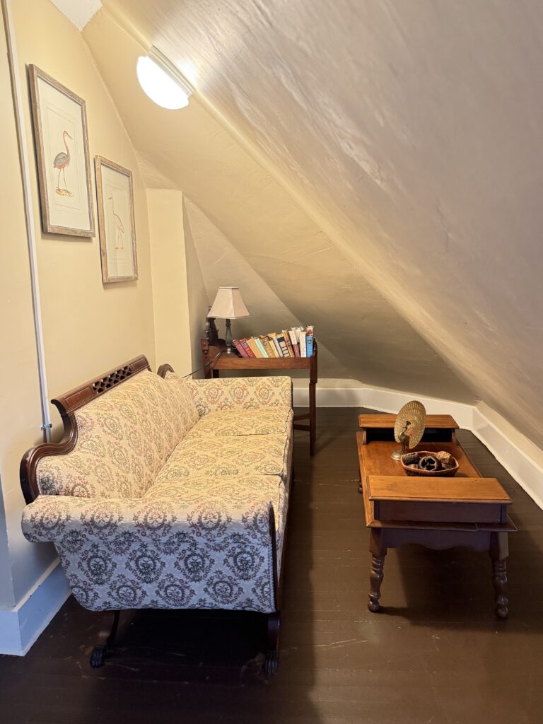 image2 (3)
